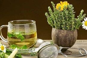 Therapeutische Kräuter bei der Behandlung von Krampfadern